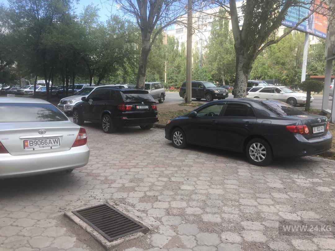 Чудаки парковки