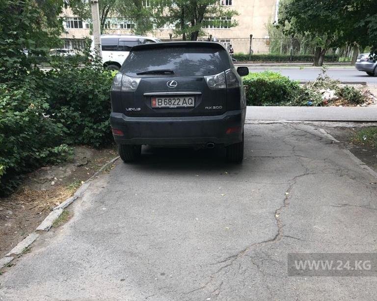 Чудаки парковки