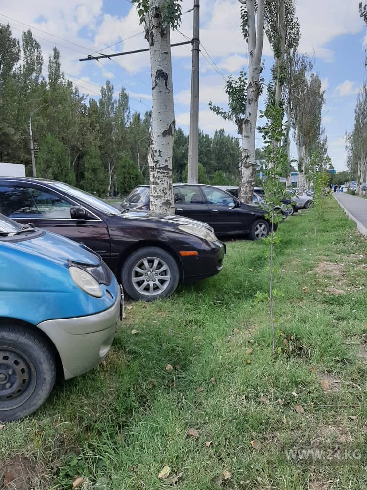 Чудаки парковки