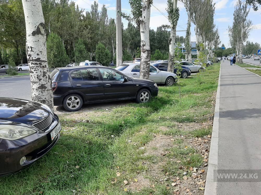 Чудаки парковки