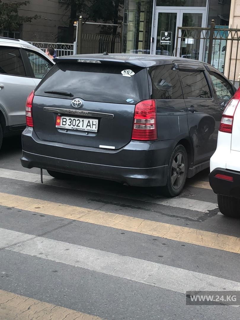 Чудаки парковки