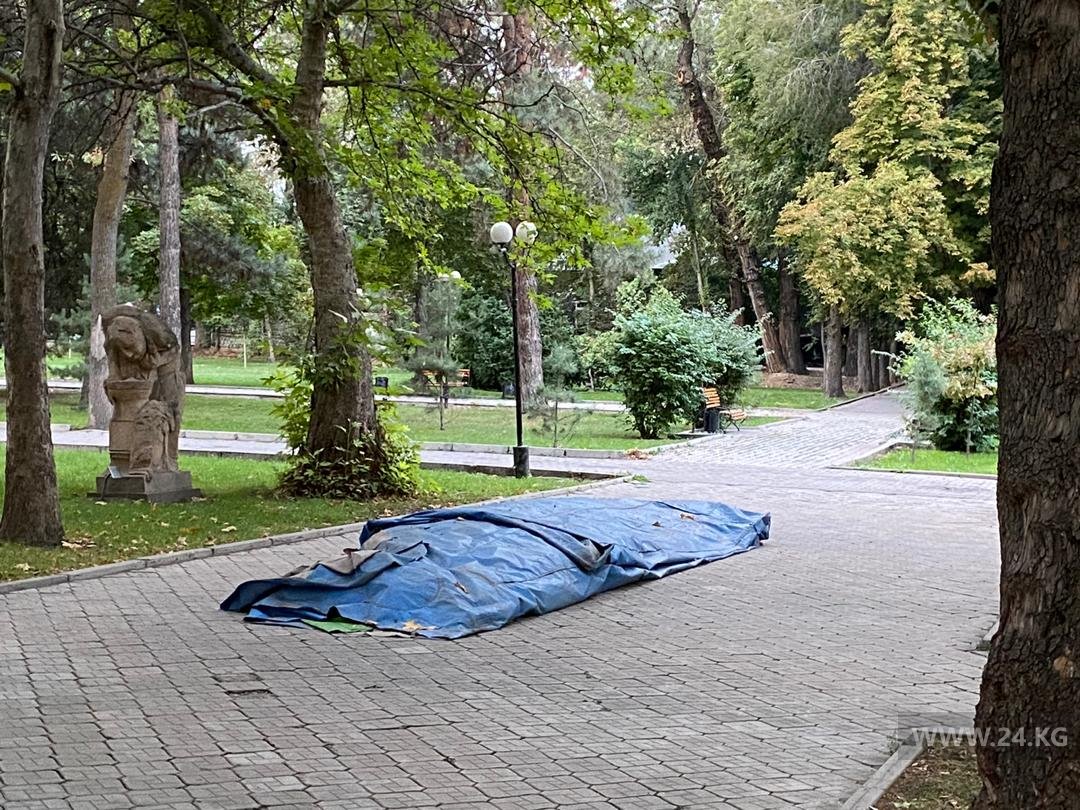 В парках и скверах вновь начали незаконно устанавливать батуты