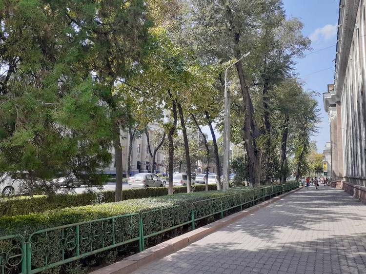 Бишкек, ранняя осень