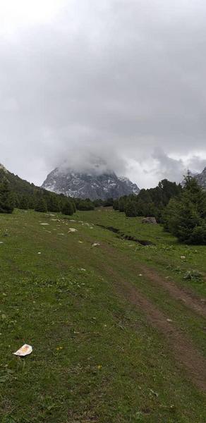 Зона отдыха «Кара-Кой», Ноокатский район (вертикаль)