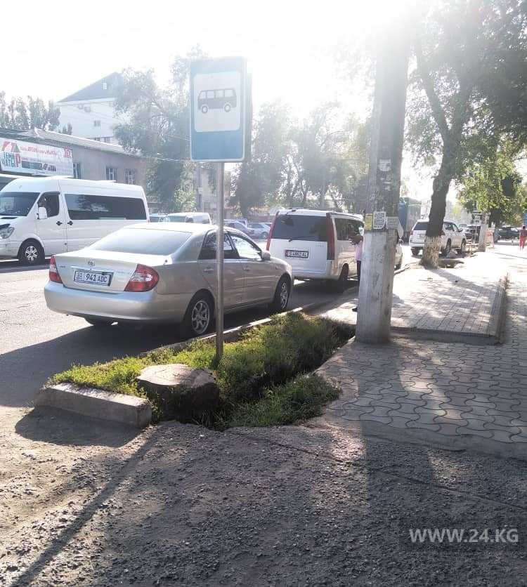 Чудаки парковки