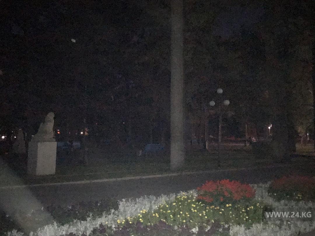 В Дубовом парке столицы не горят фонари