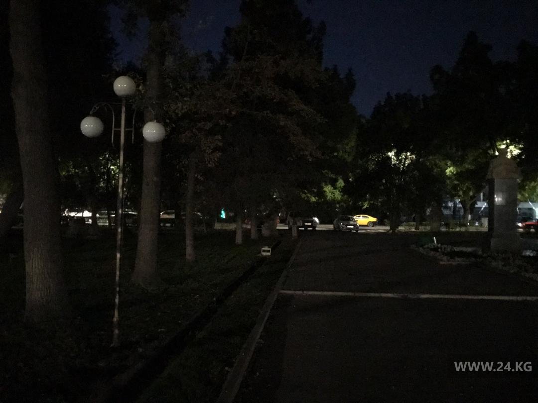 В Дубовом парке столицы не горят фонари