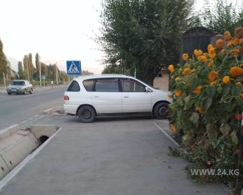 Чудаки парковки