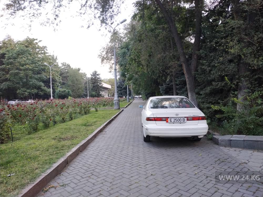 Чудаки парковки