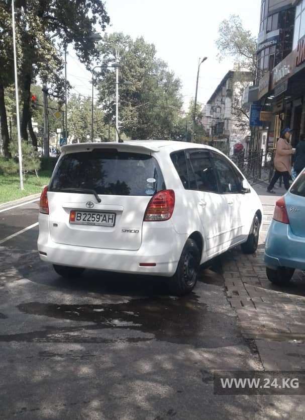 Чудаки парковки