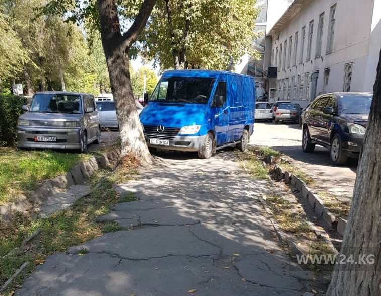 Чудаки парковки