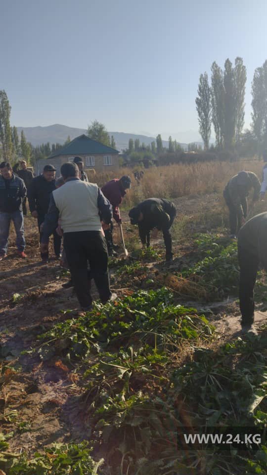Неизвестные хотят захватить поле со свеклой и построить на нем дома