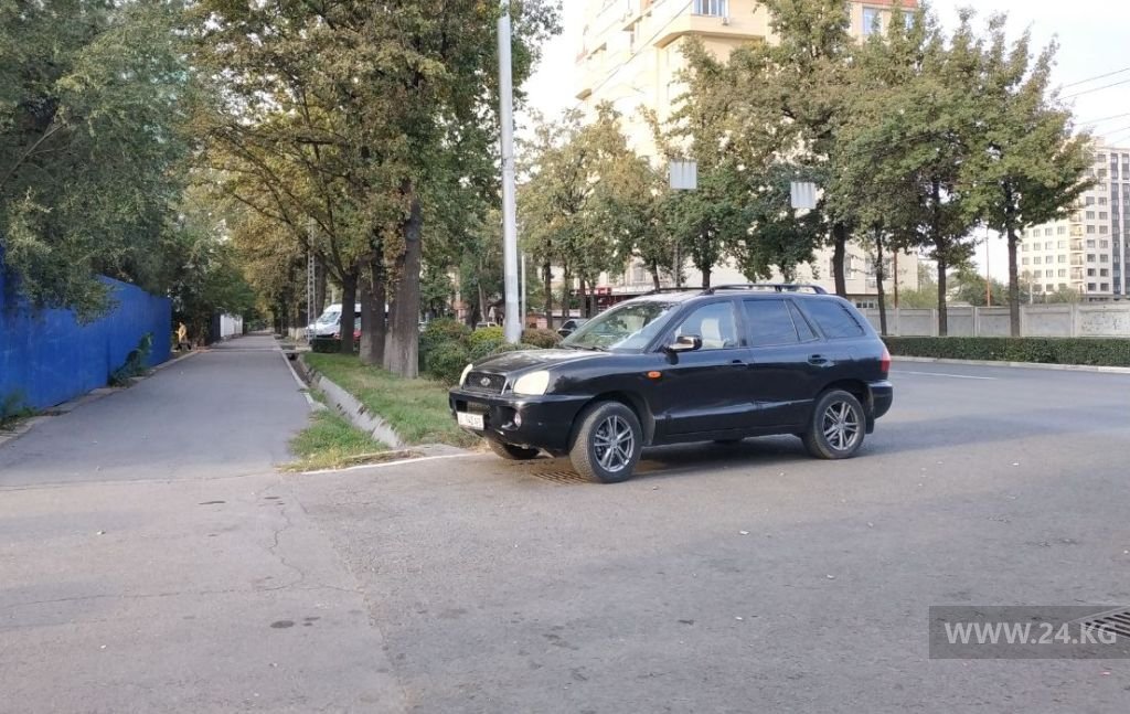 Чудаки парковки