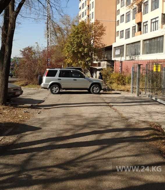 Чудаки парковки