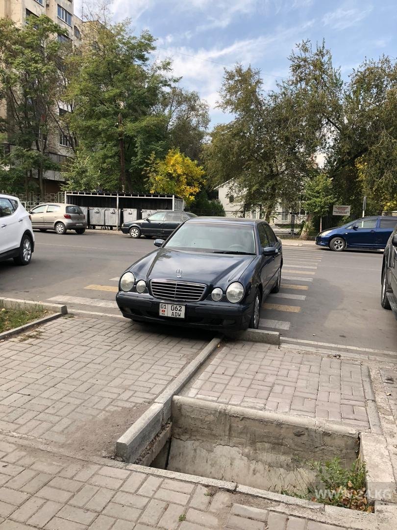 Чудаки парковки