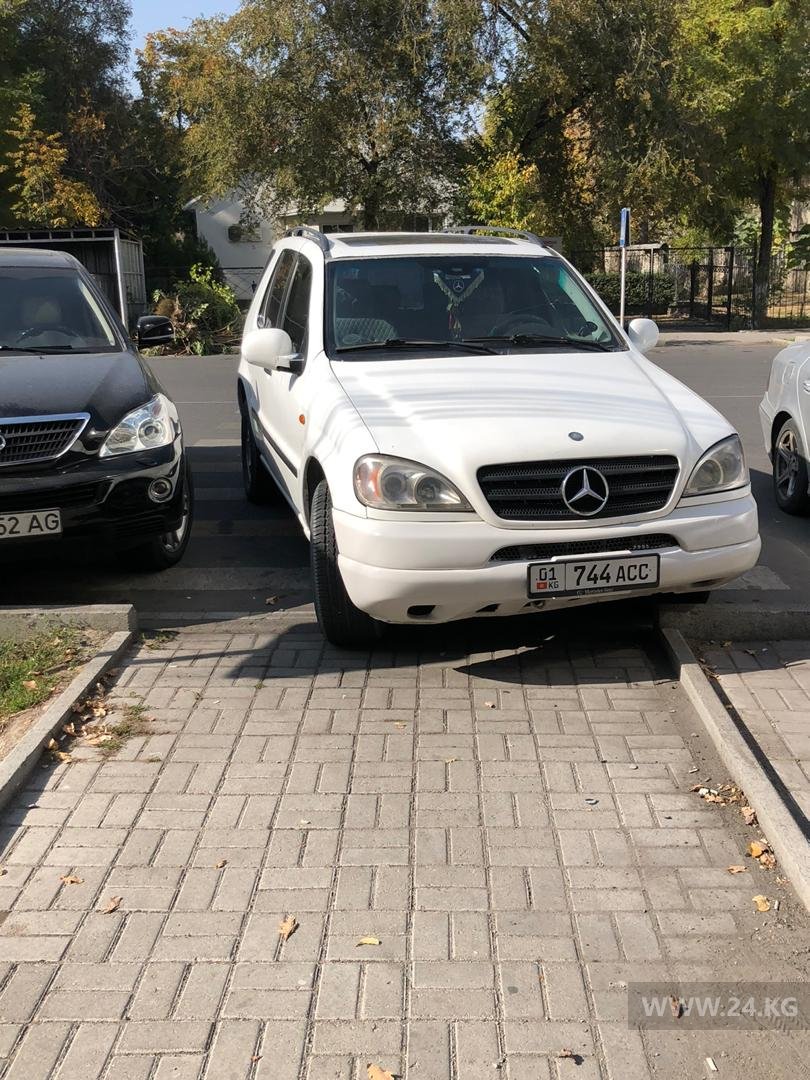 Чудаки парковки