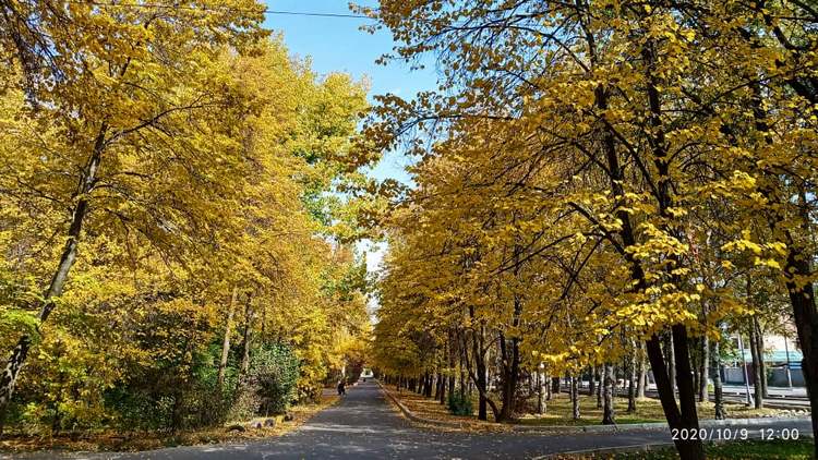 Бишкек. Краски осени