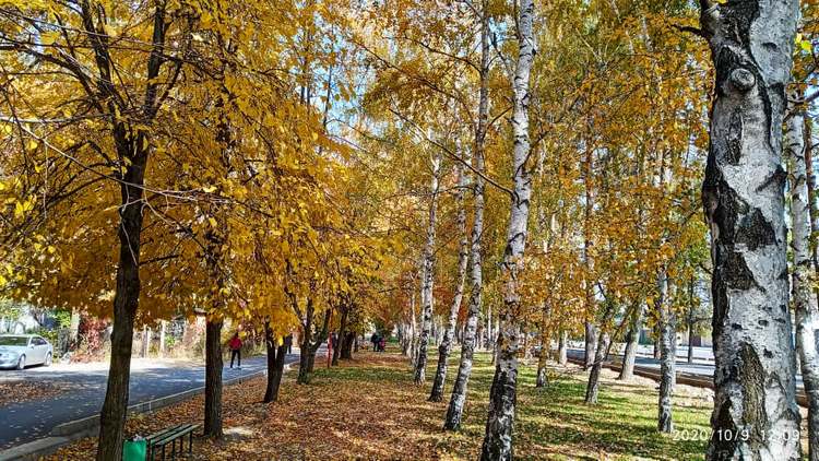 Бишкек. Краски осени
