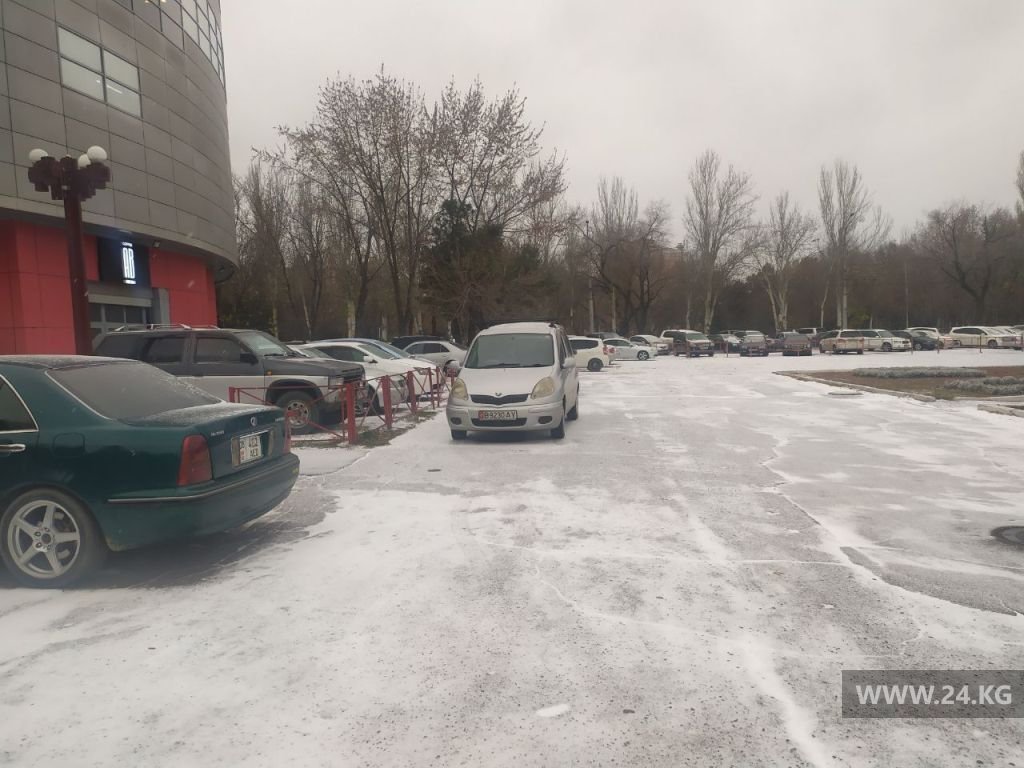 Чудаки парковки