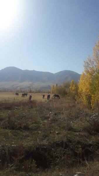 Село Арашан