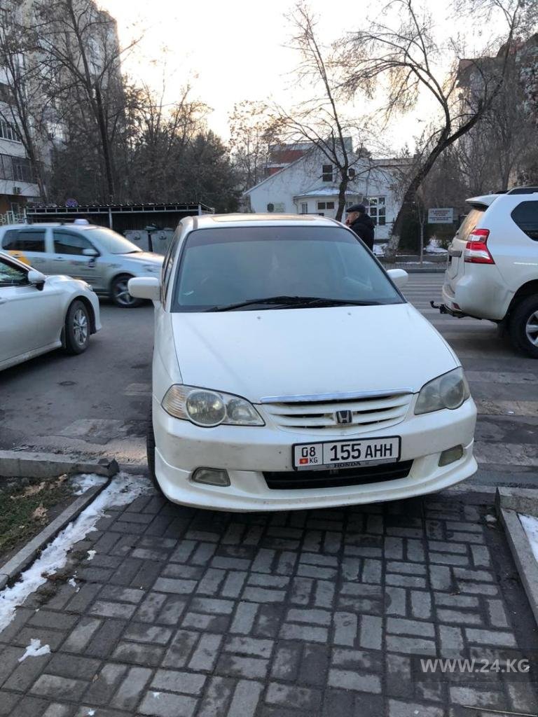 Чудаки парковки