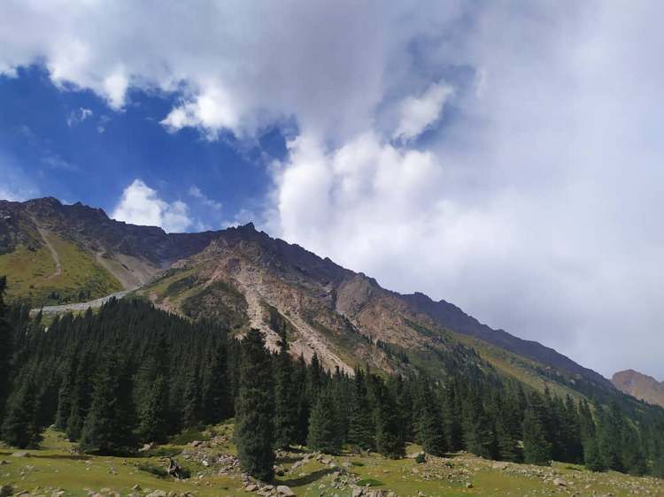 Барскоон