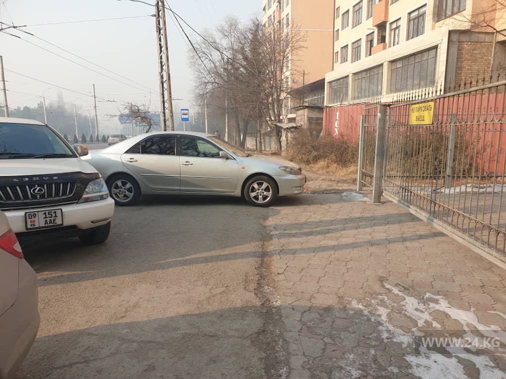 Чудаки парковки