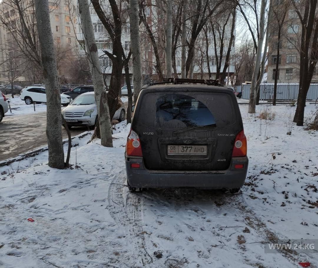 Чудаки парковки
