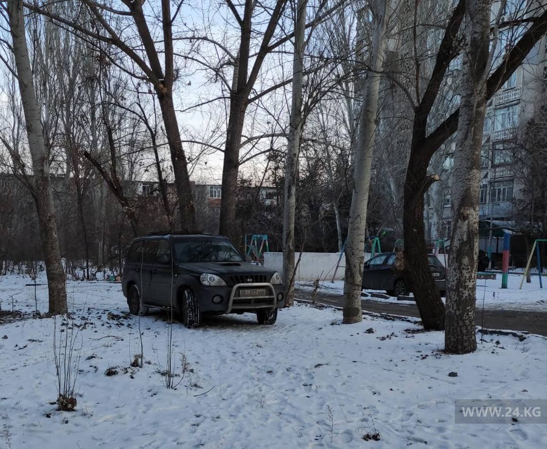 Чудаки парковки