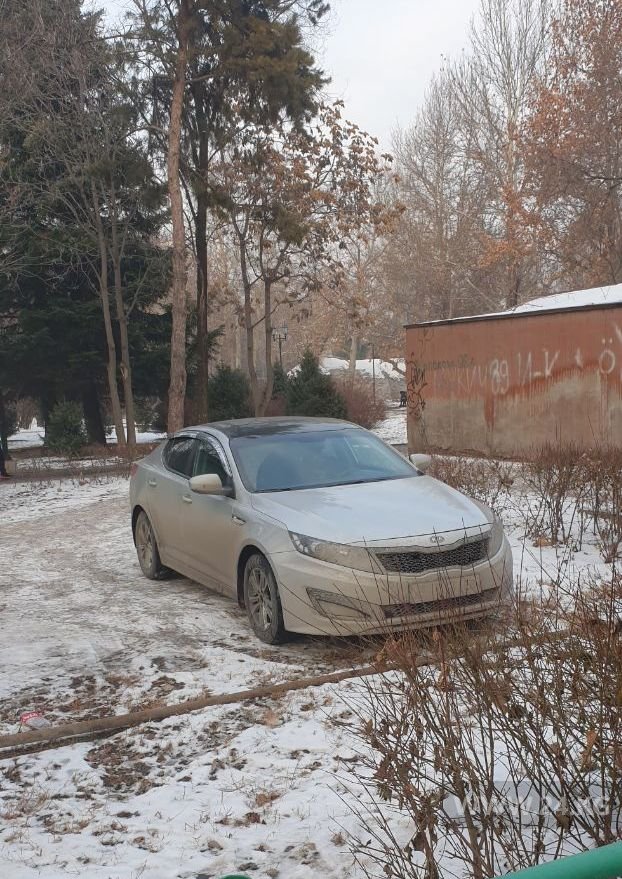 Чудаки парковки