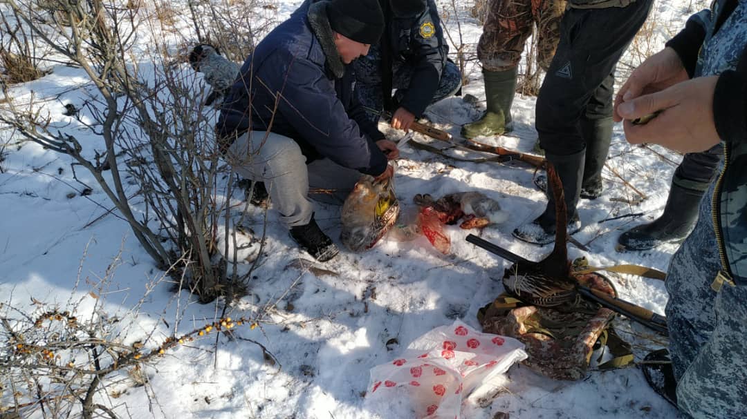 На 12 тысяч 500 сомов оштрафовали охотника в Нарынской области
