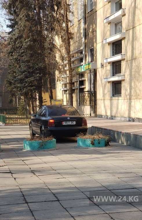 Чудаки парковки