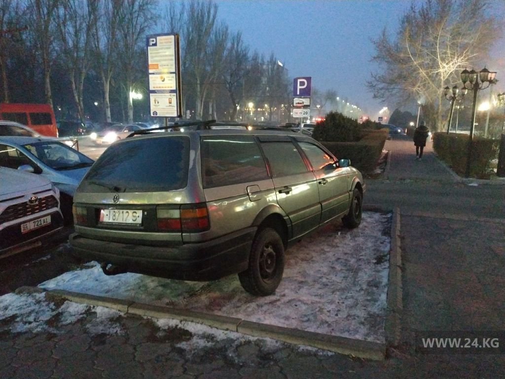 Чудаки парковки