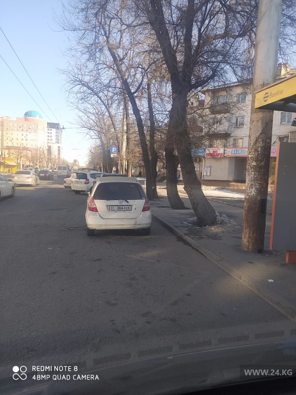 Чудаки парковки