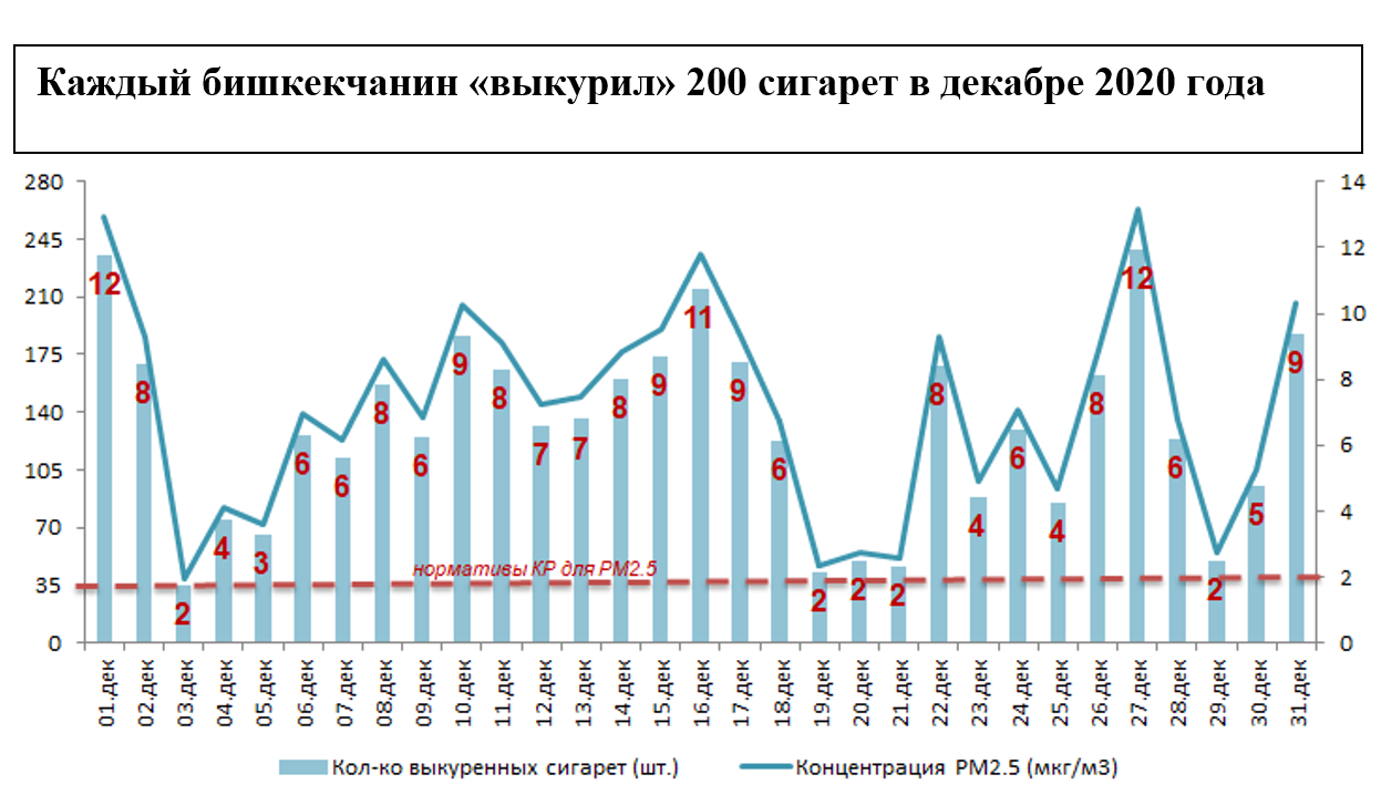 В декабре каждый бишкекчанин «выкурил» 200 сигарет из-за смога