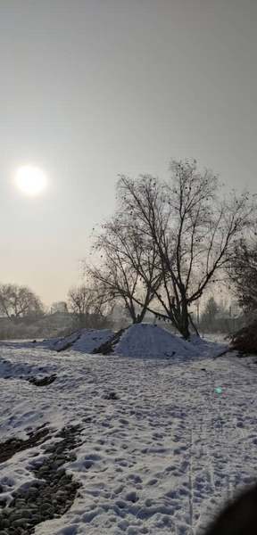Село Степное