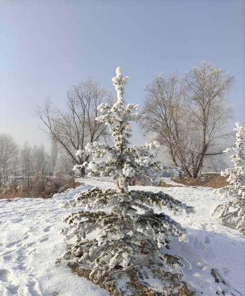 Село Степное