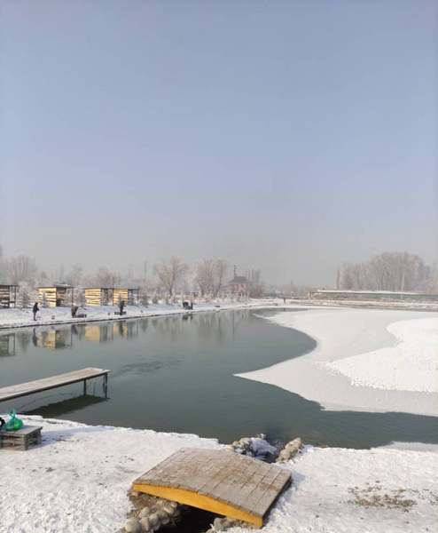 Село Степное
