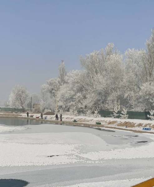 Село Степное