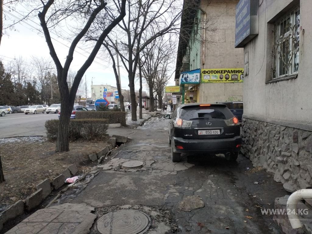 Чудаки парковки