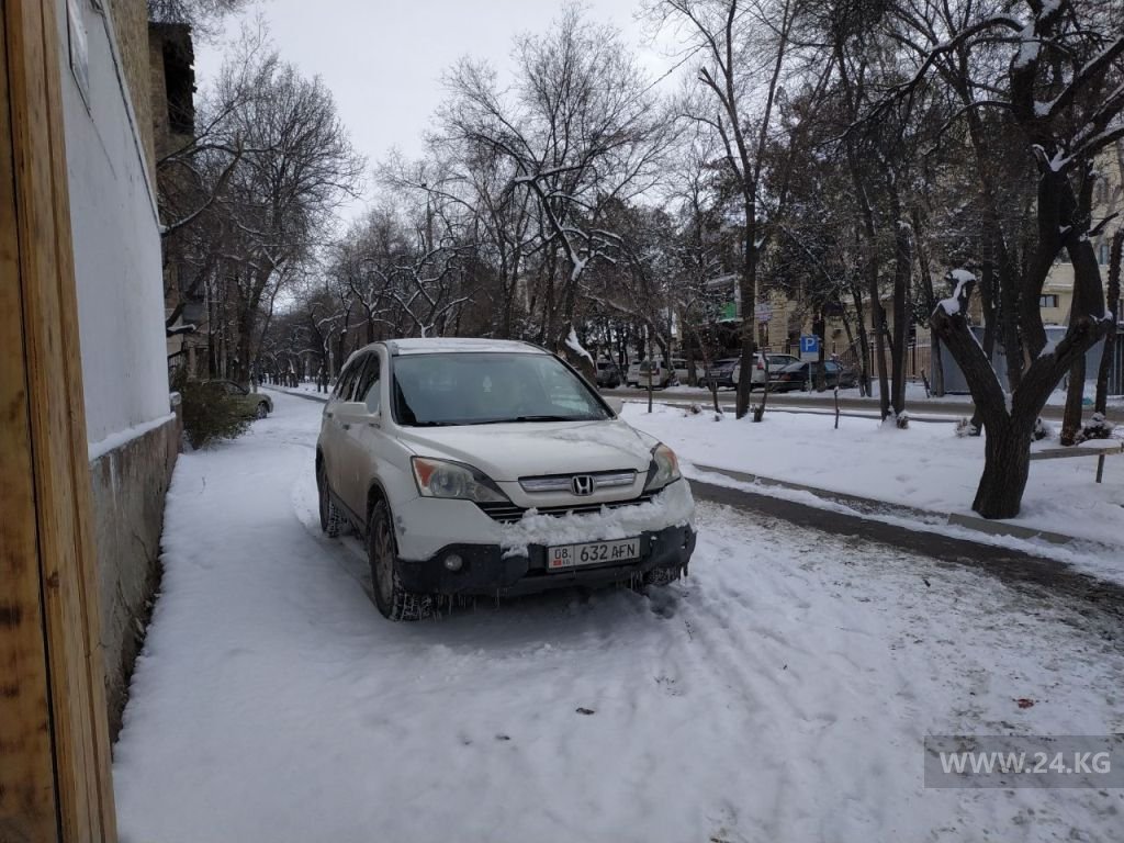 Чудаки парковки