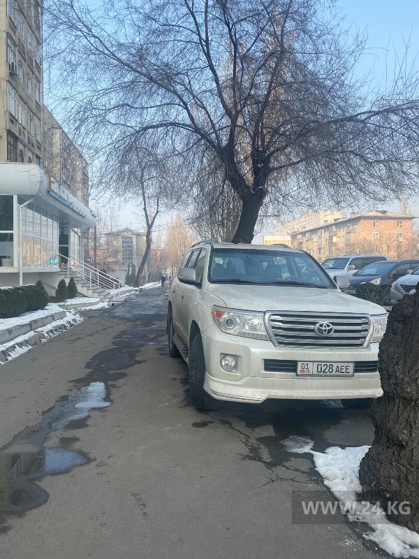 Чудаки парковки