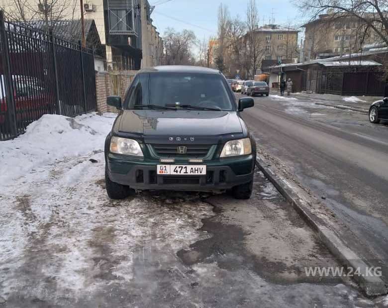 Чудаки парковки