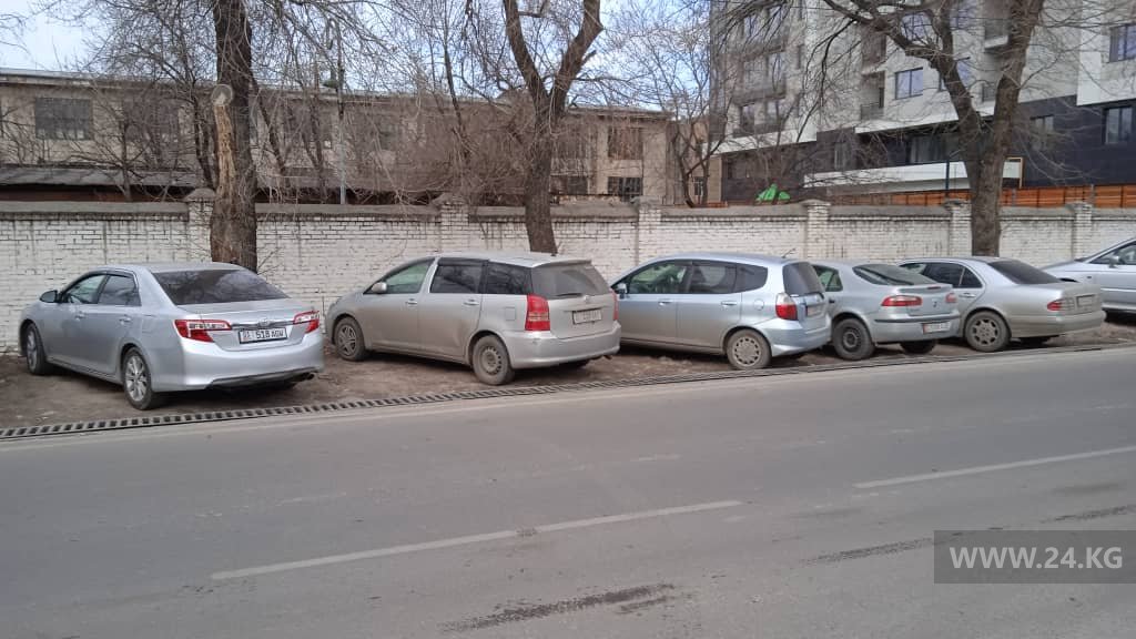Чудаки парковки