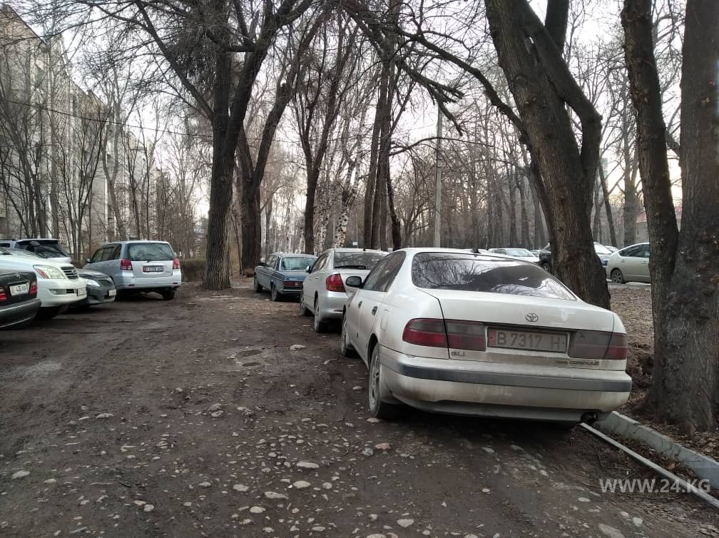 Чудаки парковки