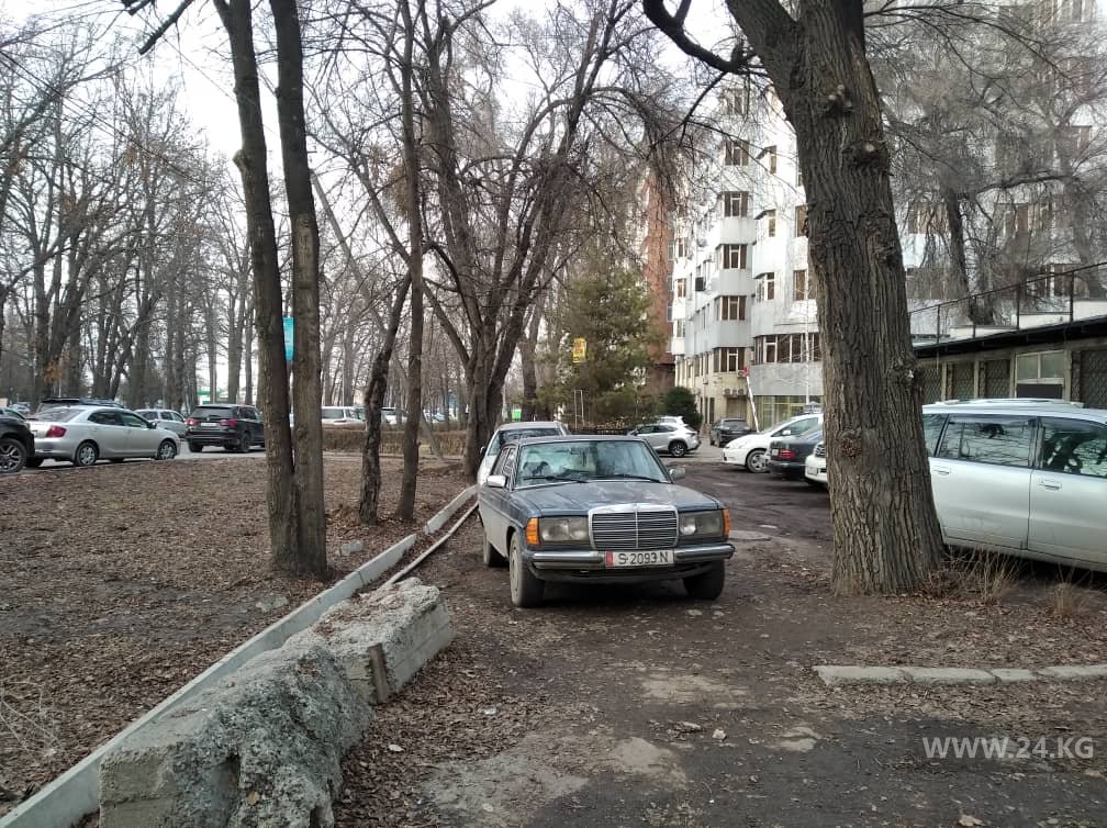 Чудаки парковки