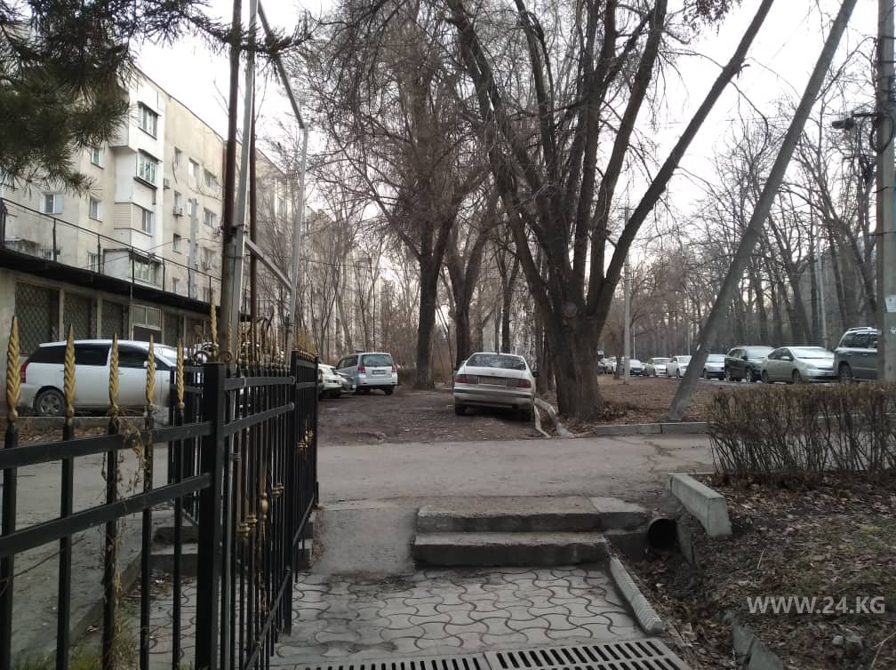 Чудаки парковки