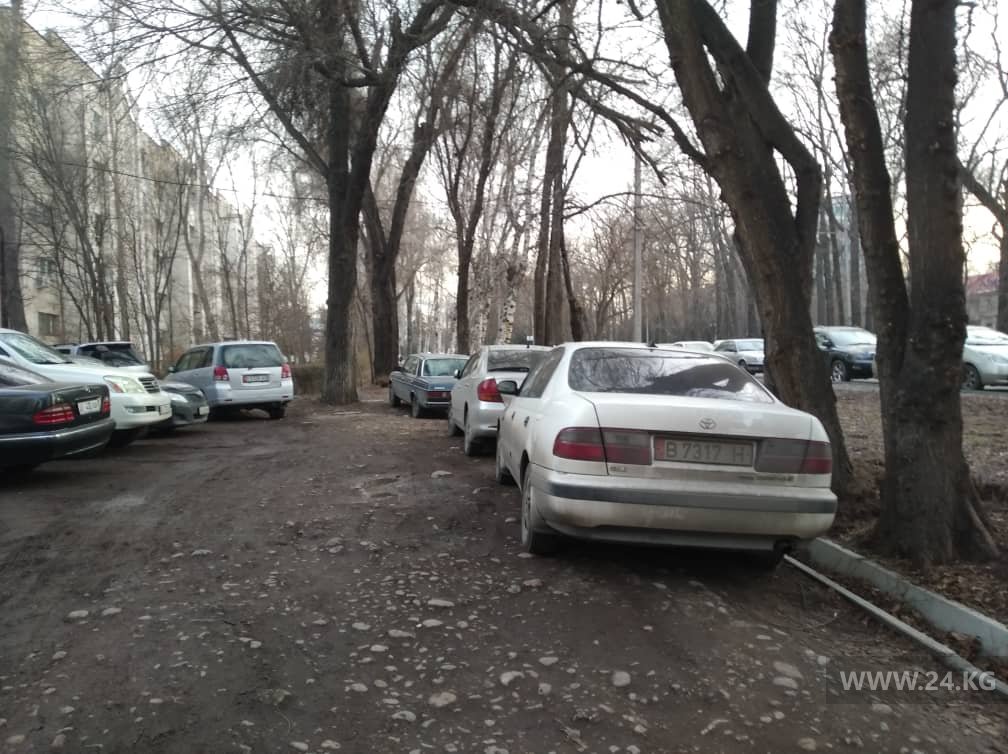 Чудаки парковки
