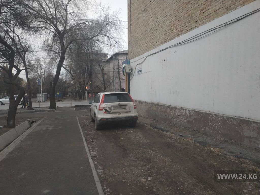Чудаки парковки