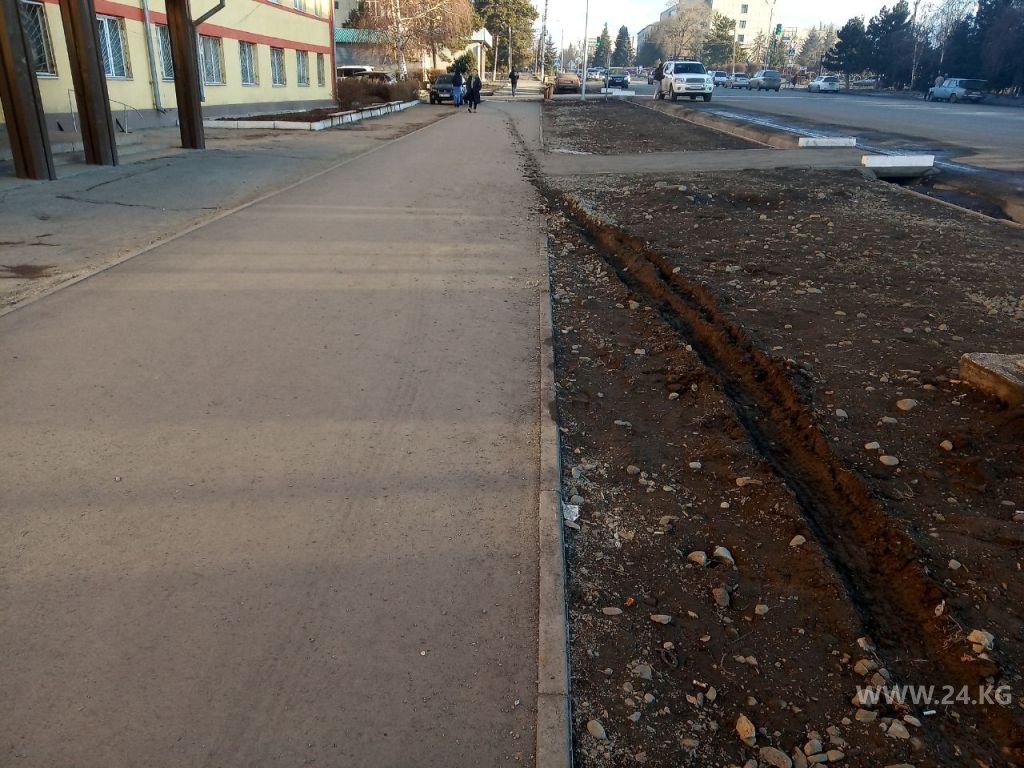 Чудаки парковки